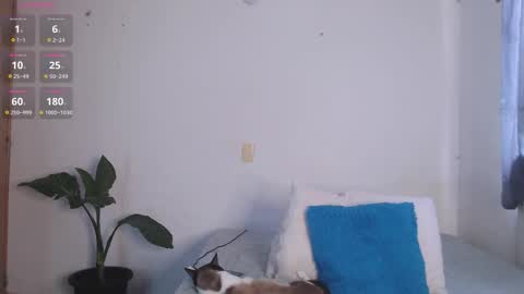 IG-valen mendoza99  twitter valenthompson99 online show from April 2026 01:04:02 PM