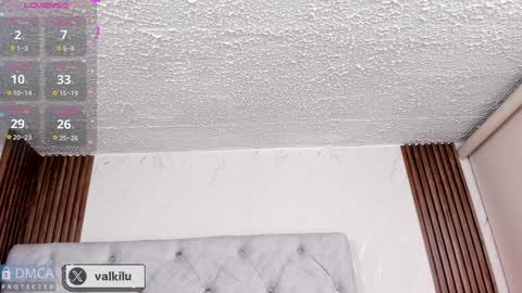 Snapshot of valkilu11 chatting on January 2025 12:06:01 AM valkilu11 online show from January 2025 12:06:01 AM