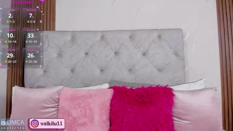 Snapshot of valkilu11 chatting on November 2025 01:03:02 AM valkilu11 online show from November 2025 01:03:02 AM