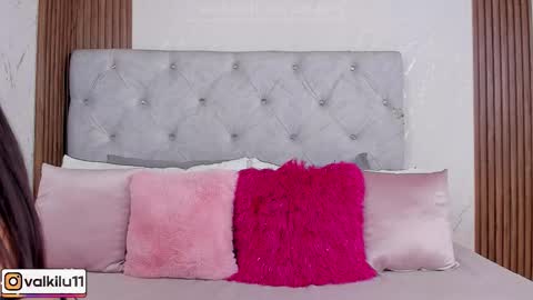 Snapshot of valkilu11 chatting on February 2026 12:07:01 AM valkilu11 online show from February 2026 12:07:01 AM