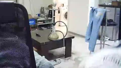 Snapshot of velikiibelyi17 chatting on December 2025 08:36:02 PM Deniel online show from December 2025 08:36:02 PM