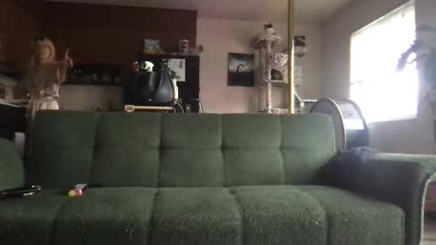 Snapshot of venustheflytrap chatting on May 2026 09:31:02 PM venustheflytrap online show from May 2026 09:31:02 PM