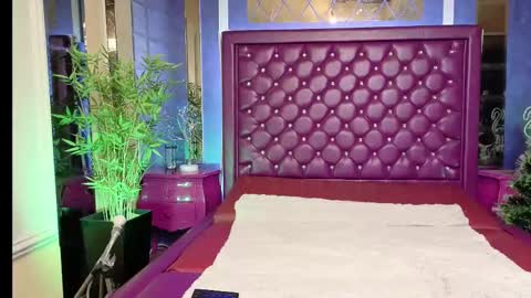 VIJ online show from February 2025 11:46:02 AM
