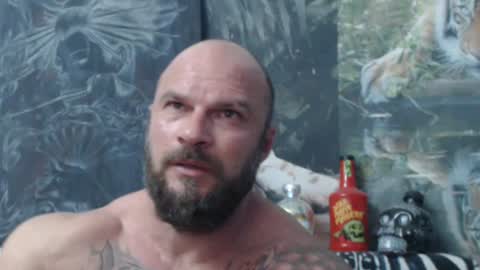 Snapshot of viking_me chatting on June 2026 06:10:01 PM viking online show from June 2026 06:10:01 PM