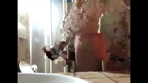 Zenith online show from March 2026 05:39:01 PM