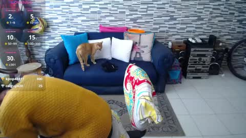 Violeta Gmez online show from April 2026 04:37:01 PM