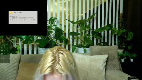 Violetta online show from January 2026 01:15:01 PM