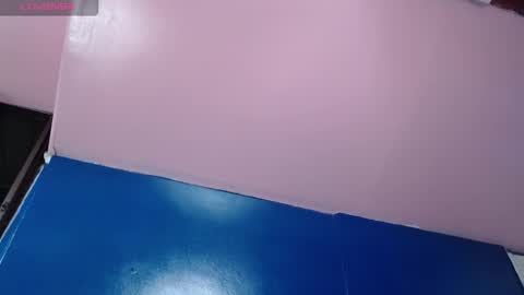 Snapshot of vitoria23_ chatting on November 2025 01:59:02 PM victoria 3 online show from November 2025 01:59:02 PM