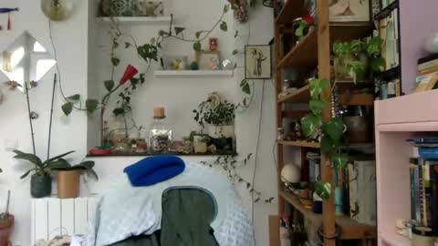 Snapshot of vivid_ether chatting on December 2024 09:33:01 AM Viv online show from December 2024 09:33:01 AM