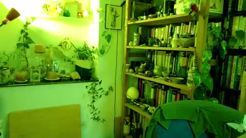 Snapshot of vivid_ether chatting on March 2025 04:10:01 PM Viv online show from March 2025 04:10:01 PM