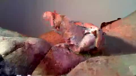 vukavuka99 online show from December 2024 12:59:02 AM