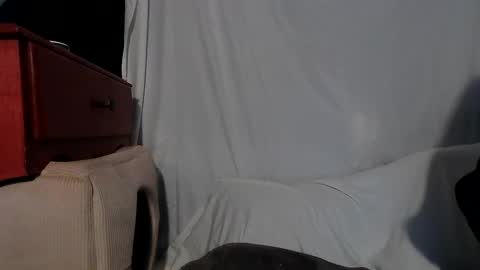 Rose online show from December 2024 04:00:01 AM