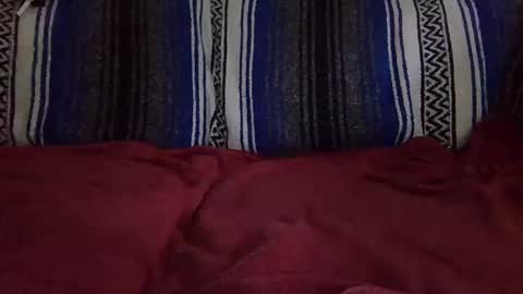 Warishcow online show from December 2024 12:02:01 AM