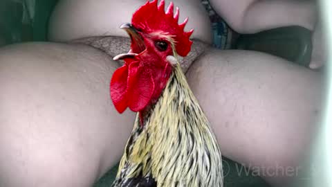 classified online show from November 2025 08:29:01 PM