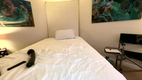 Retainer Forever Solo Album online show from March 2026 07:38:01 AM