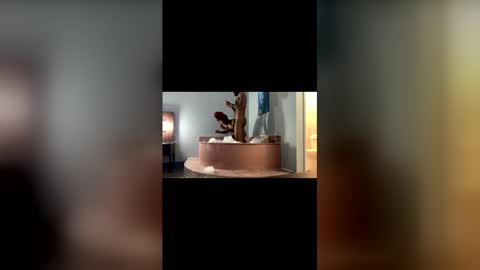 Mrmrs VIP online show from March 2026 11:53:02 PM