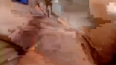 welldny online show from October 2025 04:46:01 PM