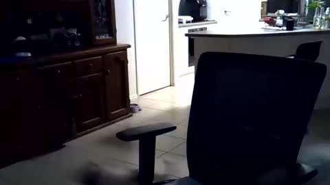 Wellhelloo online show from February 2026 12:36:01 PM