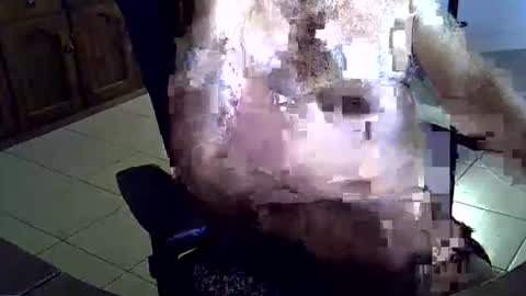 Wellhelloo online show from February 2026 09:22:02 PM