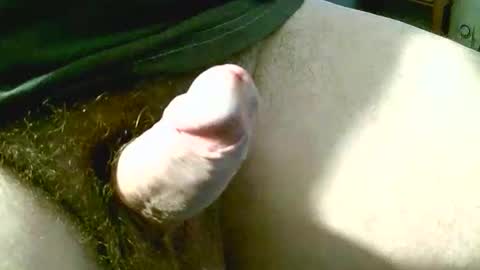 welshstuds online show from September 2025 11:32:02 AM