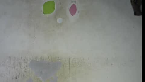 Snapshot of wet_pussy200 chatting on February 2026 09:29:02 PM Bella online show from February 2026 09:29:02 PM