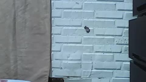 wettyhottie69 online show from February 2026 06:11:02 AM