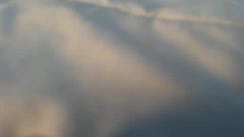 Snapshot of whatever_i_have_to_do chatting on March 2026 05:08:01 PM whatever_i_have_to_do online show from March 2026 05:08:01 PM