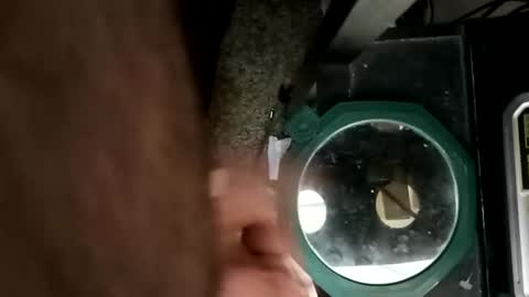 whetedoyouwantmetoputit online show from March 2026 05:18:01 PM