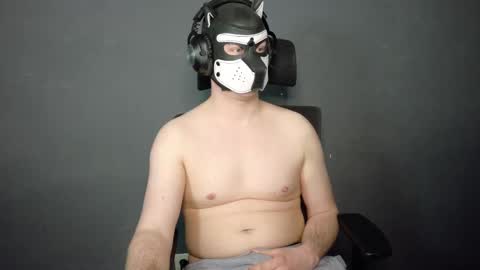 Snapshot of white_pup chatting on February 2026 05:45:02 PM white_pup online show from February 2026 05:45:02 PM