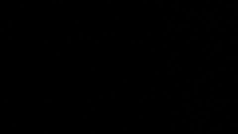 WhoDat online show from March 2026 08:53:02 AM