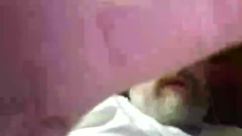 wickedwolfman69 online show from July 2026 02:28:02 AM