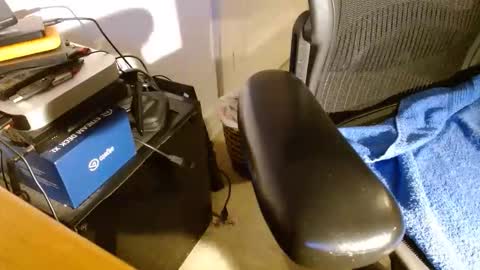 wildwills online show from April 2026 12:38:02 AM