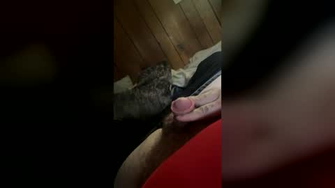 wolfdrose online show from June 2026 06:42:02 PM