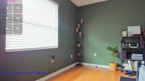 Wolfienov online show from December 2024 03:37:01 PM