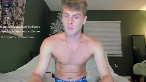 Wolfienov online show from February 2025 12:51:02 AM