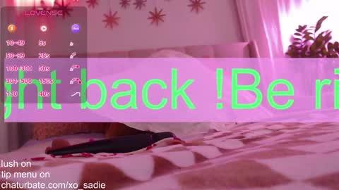 Xo Sadie online show from February 2026 06:01:02 AM