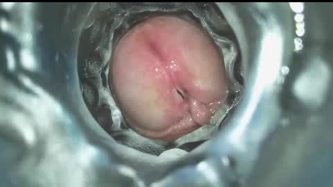 Snapshot of xoxowtf chatting on December 2024 07:43:02 PM xoxowtf online show from December 2024 07:43:02 PM