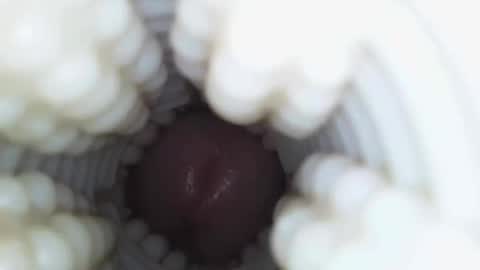 Snapshot of xoxowtf chatting on January 2026 04:26:02 AM xoxowtf online show from January 2026 04:26:02 AM