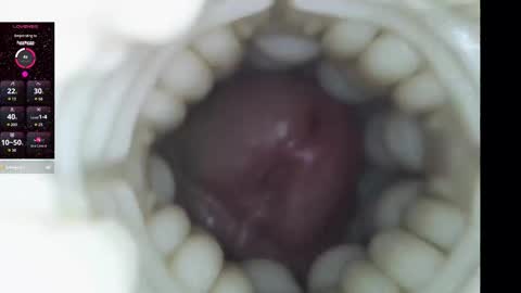 Snapshot of xoxowtf chatting on February 2026 11:20:01 PM xoxowtf online show from February 2026 11:20:01 PM