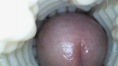 Snapshot of xoxowtf chatting on March 2026 05:41:01 PM xoxowtf online show from March 2026 05:41:01 PM