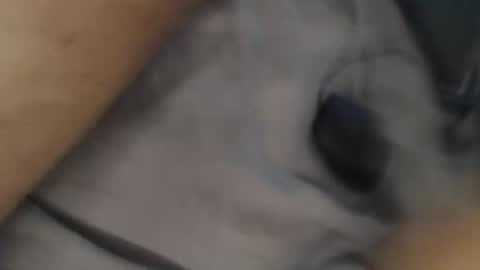 Snapshot of yallayalla1806 chatting on November 2025 02:17:02 AM yallayalla1806 online show from November 2025 02:17:02 AM