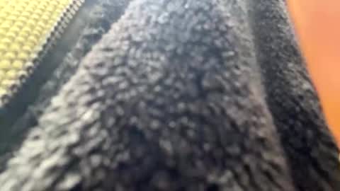 Snapshot of yasarsimo99154258 chatting on April 2026 10:59:01 AM yasarsimo99154258 online show from April 2026 10:59:01 AM