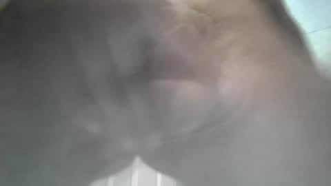 yaycarr9 online show from June 2026 10:52:01 PM