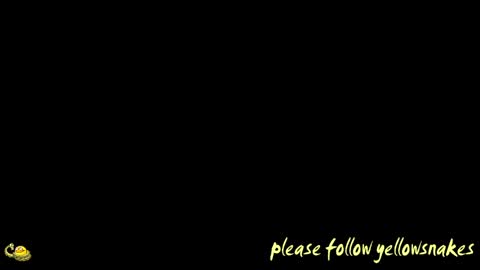 .     y e l l o w s n a k e s       . online show from April 2026 11:48:01 AM