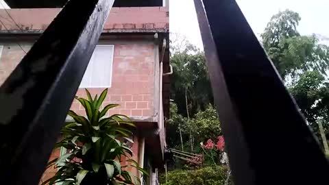 yourgodzeus online show from March 2025 11:33:01 AM