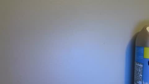 newcastle72 online show from July 2026 05:56:02 AM