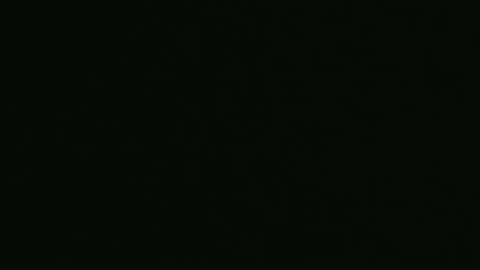 yourpersonalgeniusl online show from December 2024 10:26:02 PM