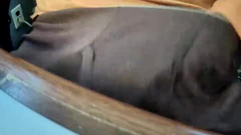 Snapshot of yuppers1234 chatting on December 2025 04:36:02 PM yuppers1234 online show from December 2025 04:36:02 PM