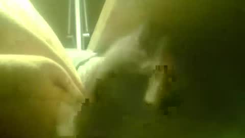 zaboski4 online show from March 2026 07:44:01 AM