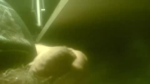 zaboski4 online show from April 2026 07:28:01 AM